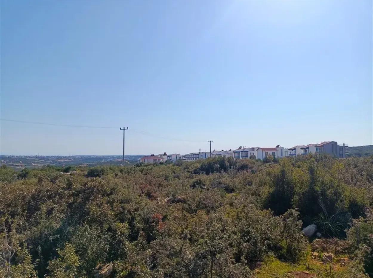 Didim Akyeniköy Bozseki İzonlı Grundstücke Zum Verkauf