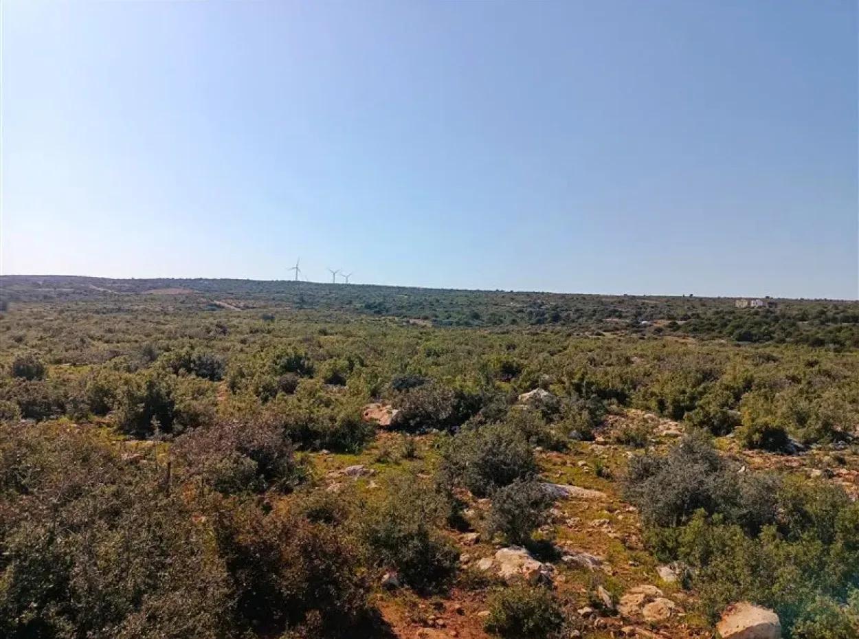 Didim Akyeniköy Bozseki İzonlı Grundstücke Zum Verkauf