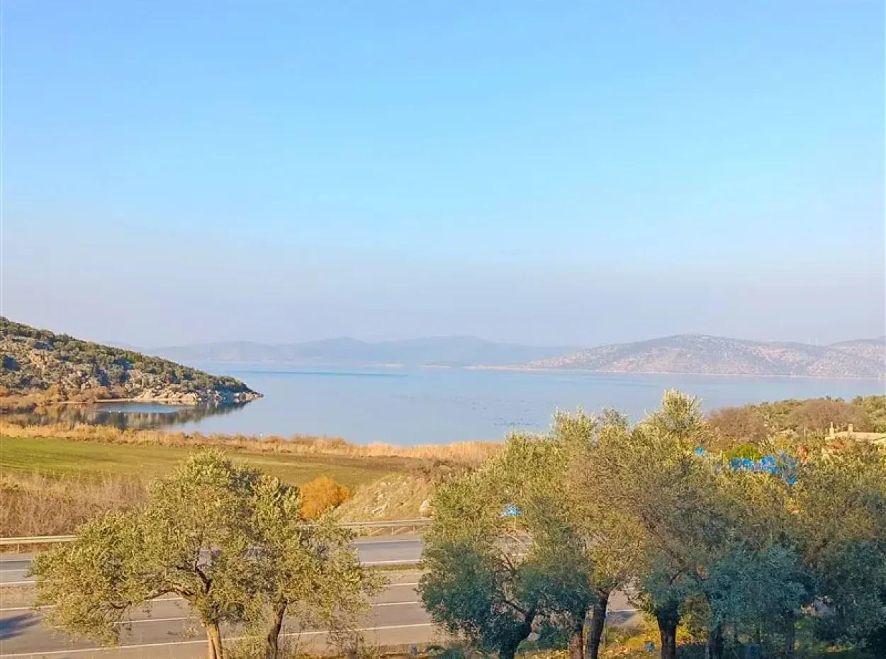 Didim Akyeniköy 55.000M2 Olivenhain Mit Seeblick Zum Verkauf