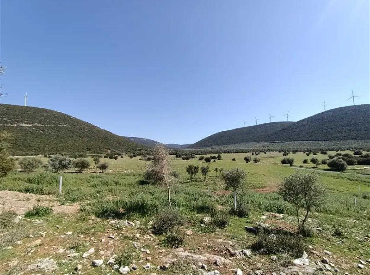 5 Unumgängliche Handlungsmöglichkeiten In Didim! Der Preis Für Jeden Von Ihnen Ist In Der Beschreibung Angegeben.