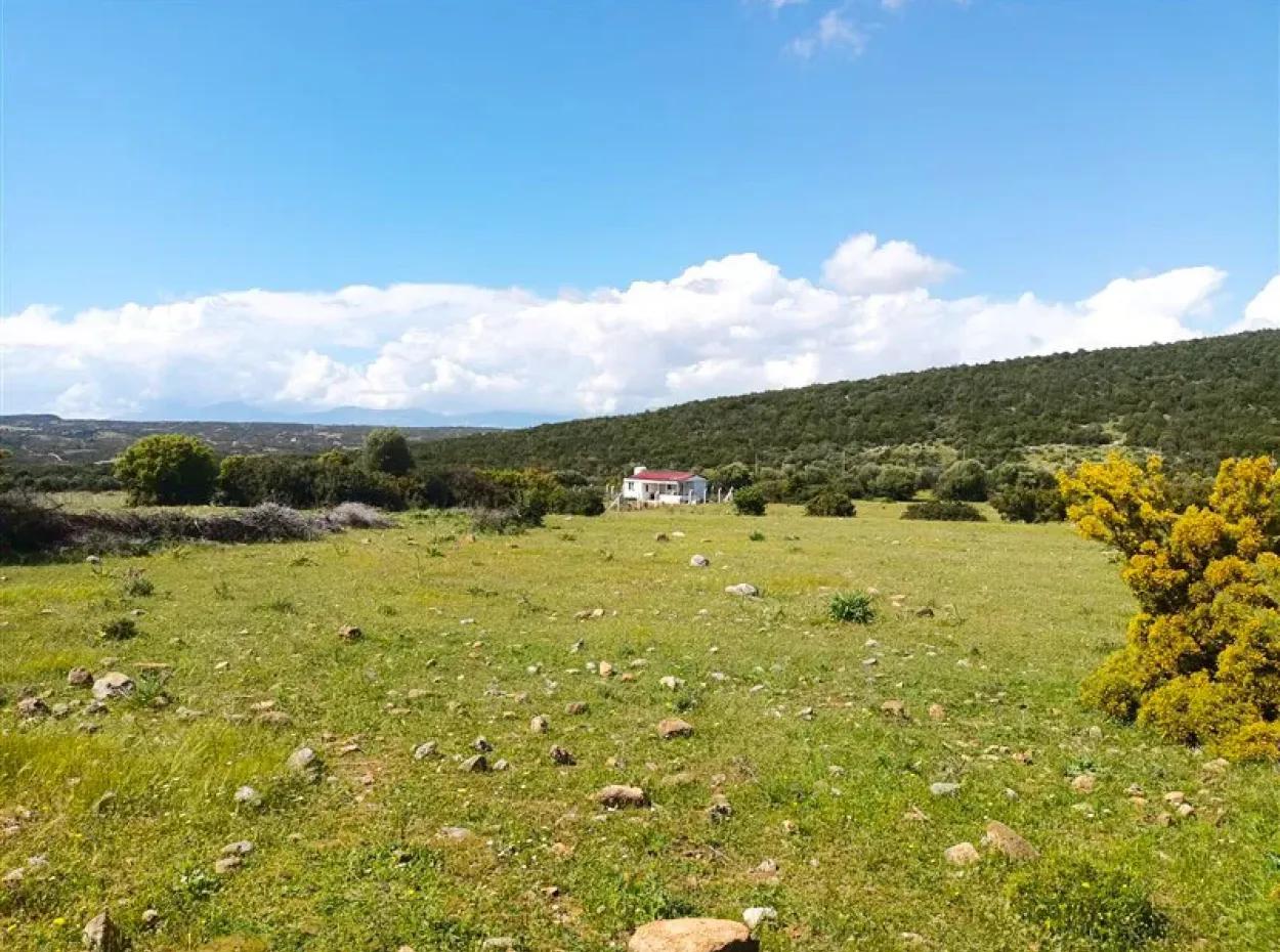 Didim Akyenikoy 1. Grundstück Zum Verkauf In Balova Mit Zonierung