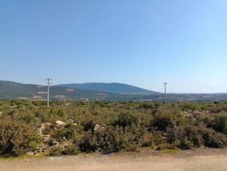 Didim Akyeniköy Bozseki İzonlı Grundstücke Zum Verkauf