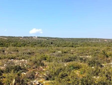 Didim Akyeniköy Bozseki İzonlı Grundstücke Zum Verkauf