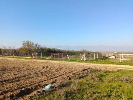 Grundstück Zum Verkauf In Didim, Didim Akyeniköy 500M2 Grundstück Zum Verkauf