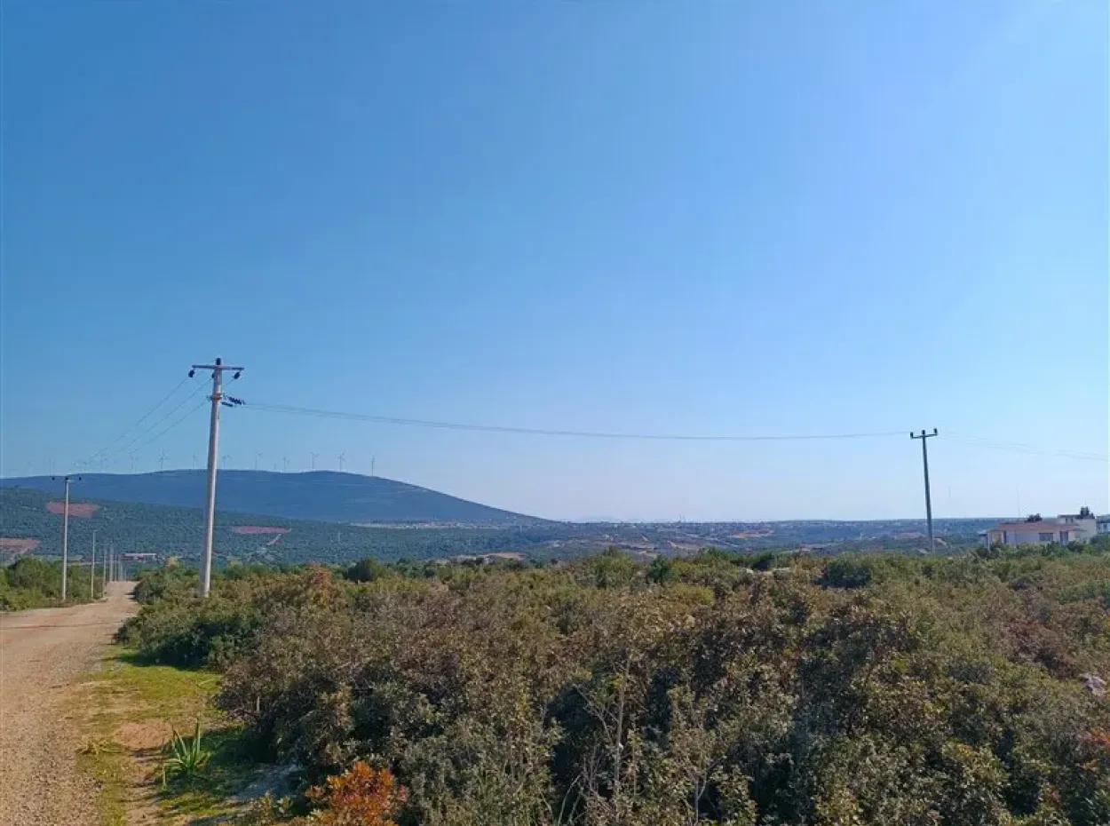 Didim Akyeniköy Bozseki İzonlı Lands For Sale