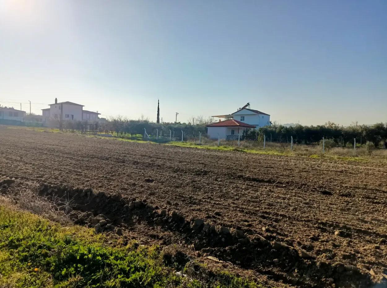 Land For Sale In Didim, Didim Akyeniköy 500M2 Land For Sale