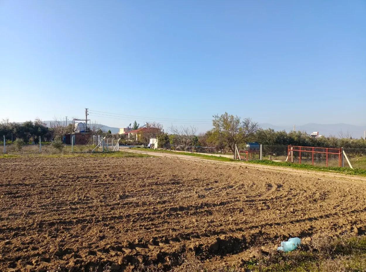 Land For Sale In Didim, Didim Akyeniköy 500M2 Land For Sale