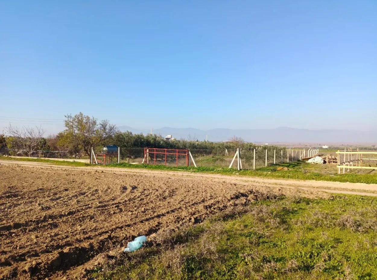 Land For Sale In Didim, Didim Akyeniköy 500M2 Land For Sale