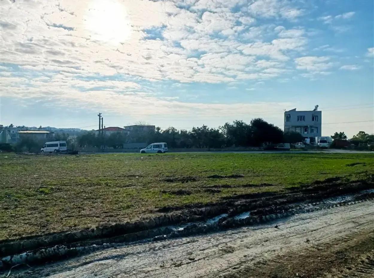 Land For Sale In Didim, Land For Sale In Hisarda