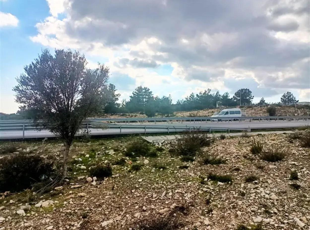 Land Plot For Sale In Didim/Land For Sale In Seyrantepe/Land For Sale In Didim Seyrantepe