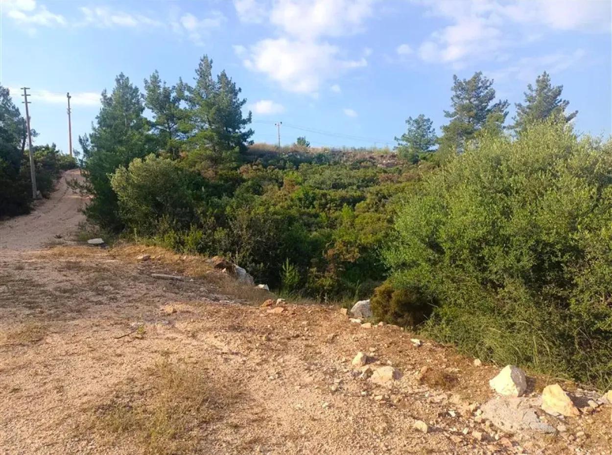 Didim Akyeniköy Seyrantepe İmarlı Land For Sale