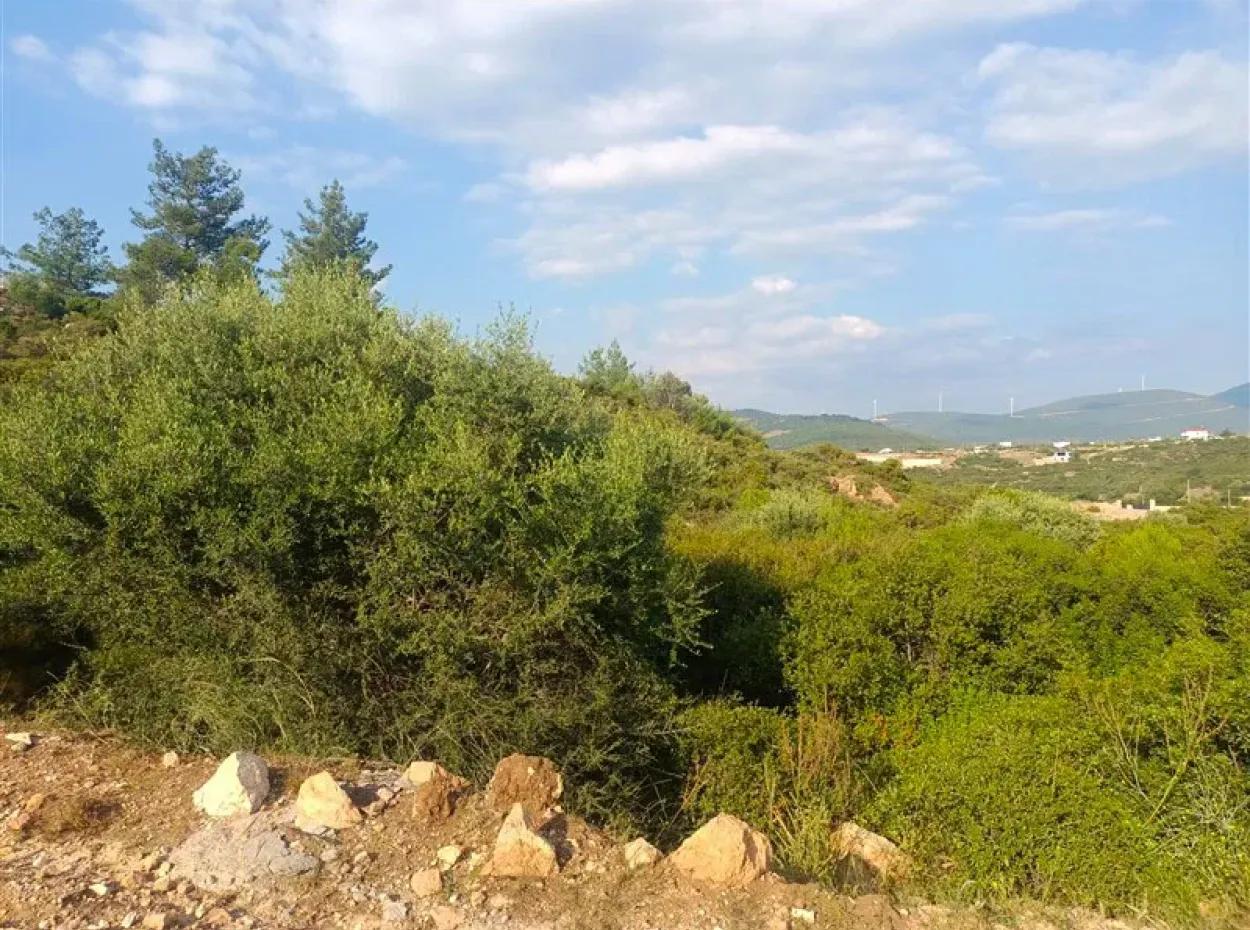 Didim Akyeniköy Seyrantepe İmarlı Land For Sale