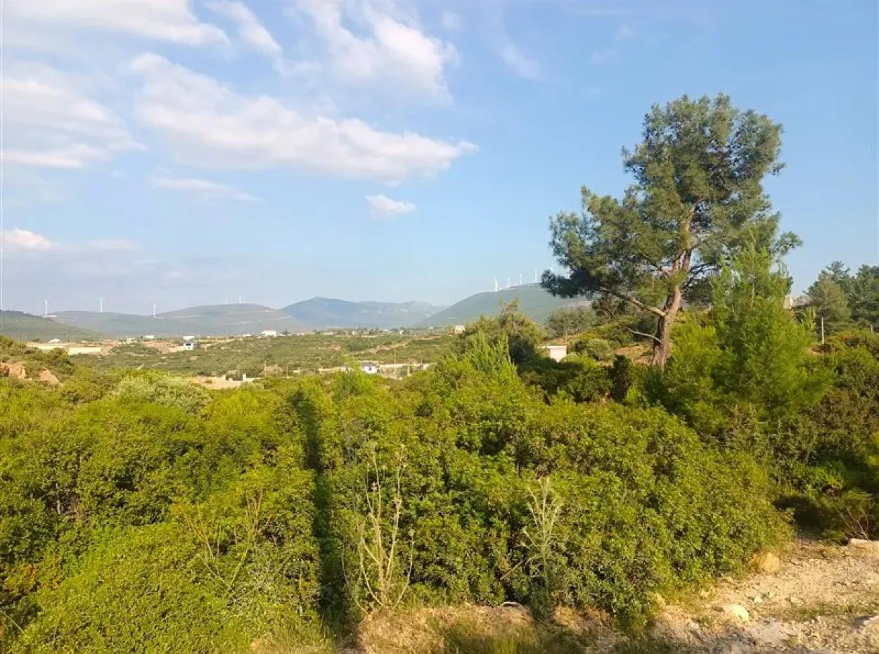 Didim Akyeniköy Seyrantepe İmarlı Land For Sale