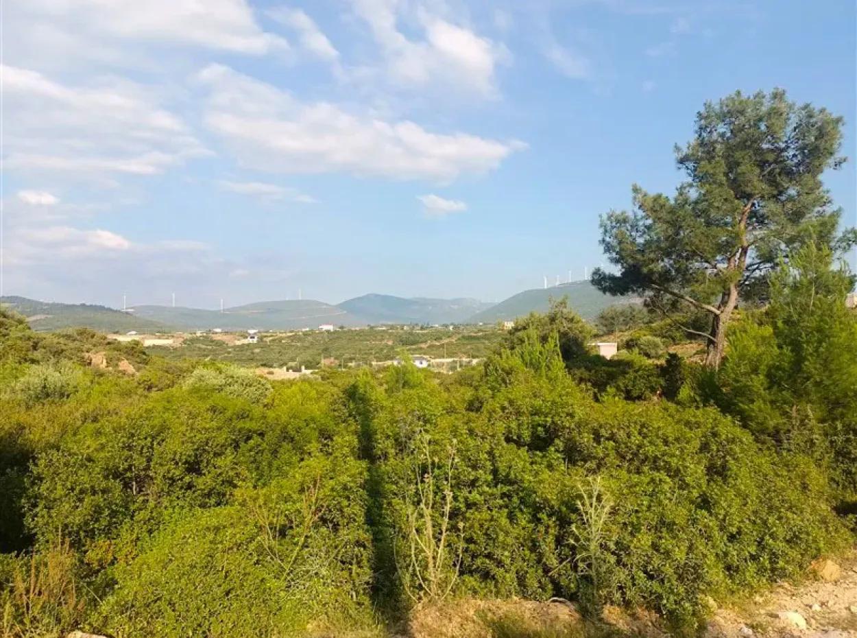 Didim Akyeniköy Seyrantepe İmarlı Land For Sale