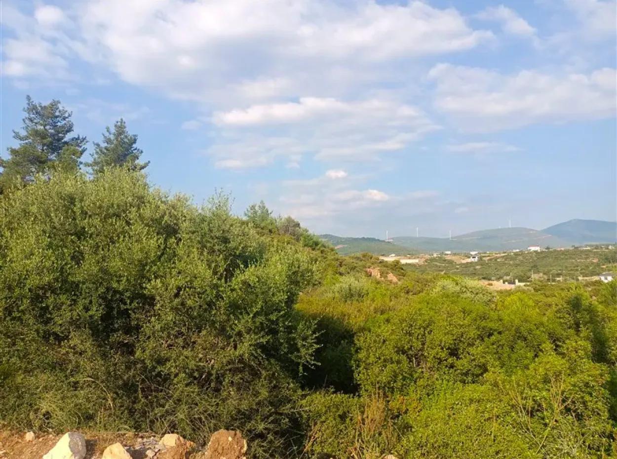 Didim Akyeniköy Seyrantepe İmarlı Land For Sale