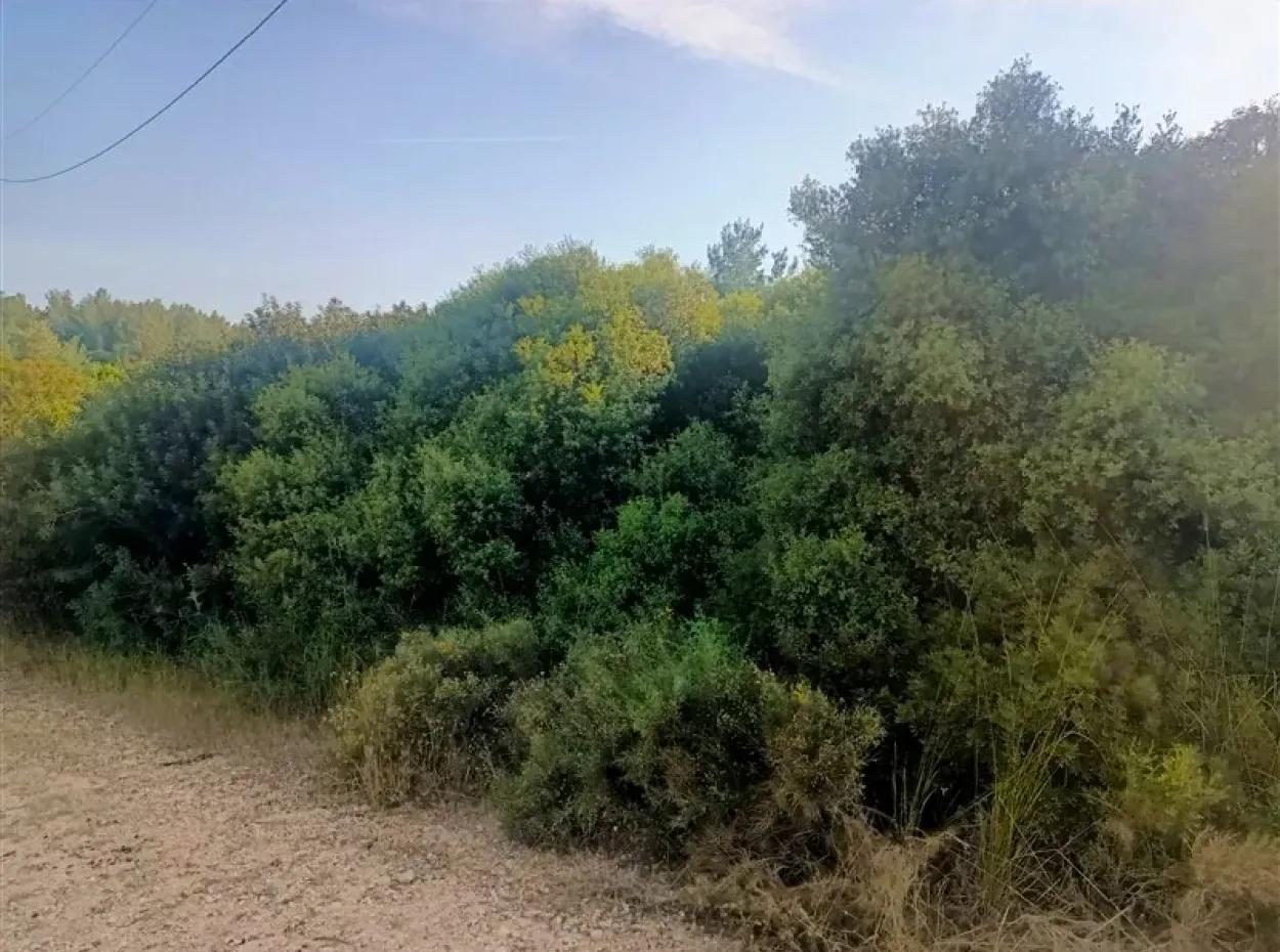 Didim Akyeniköy Seyrantepe İmarlı Land For Sale