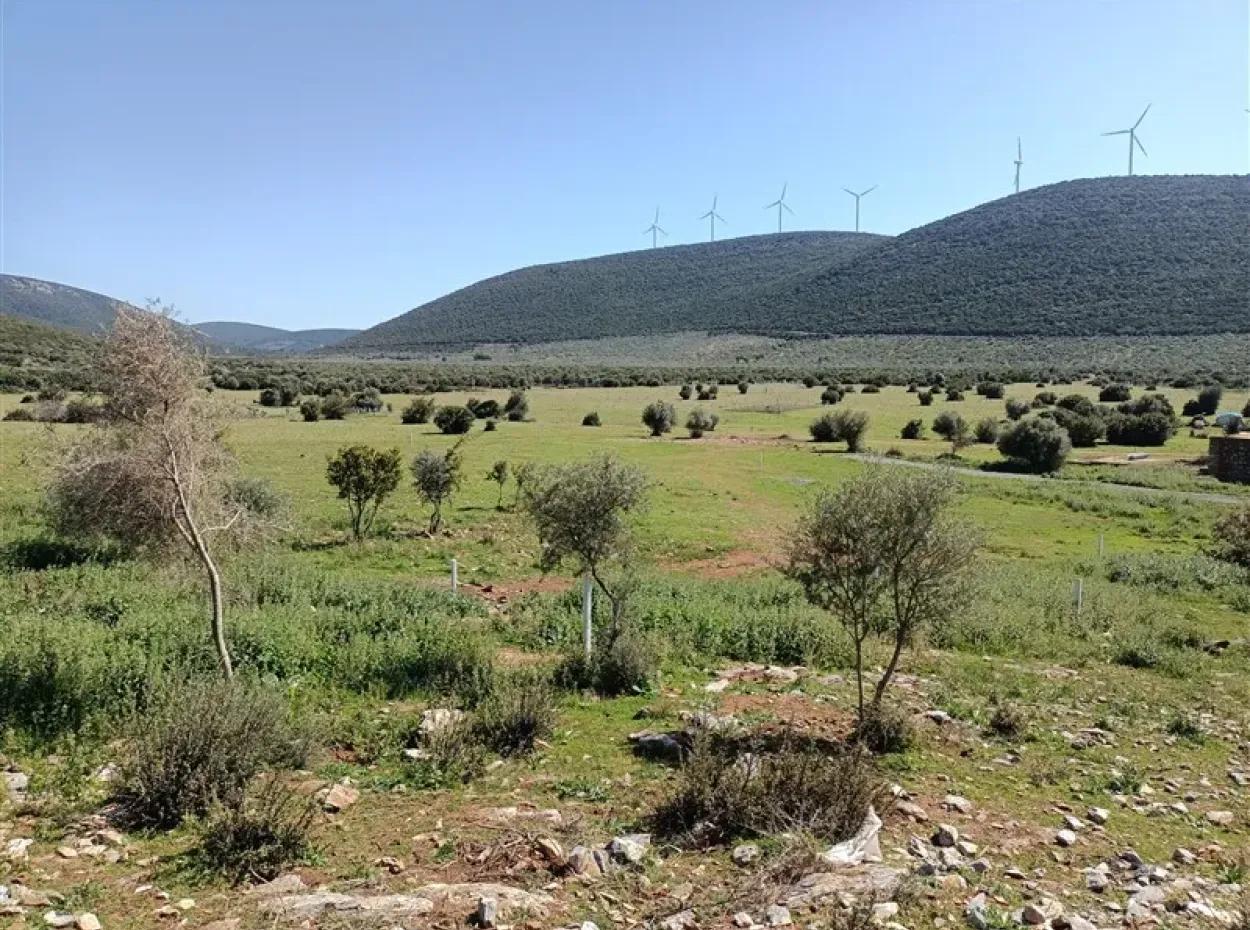 5 Unmissable Plot Opportunities In Didim! The Price Of Each Of Them Is In The Description.