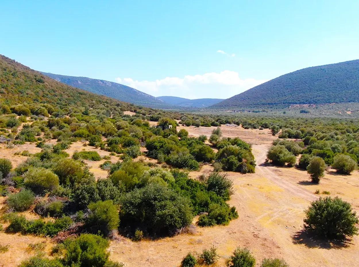 Villa Land For Sale With Zoning In Balova, Akyeniköy, Didim