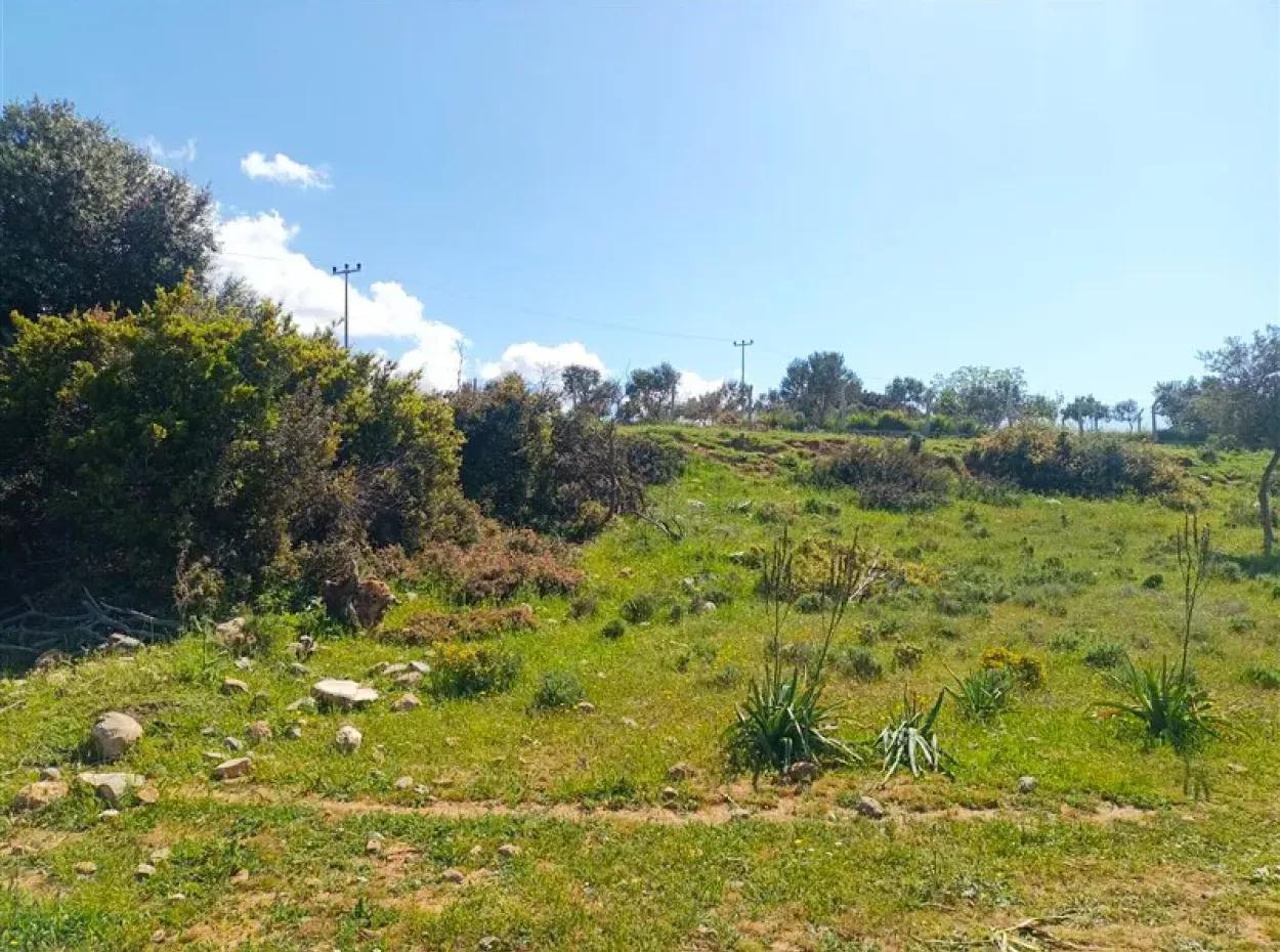 Didim Akyenikoy 1. Land For Sale In Balova With Zoning