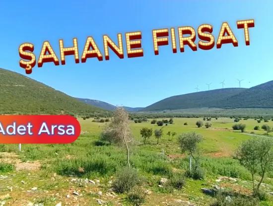 5 Unmissable Plot Opportunities In Didim! The Price Of Each Of Them Is In The Description.