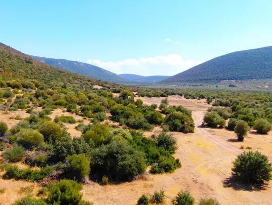 Villa Land For Sale With Zoning In Balova, Akyeniköy, Didim