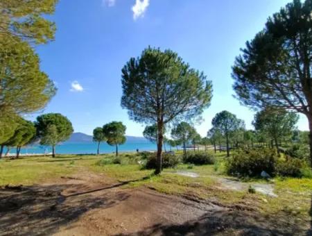 Didimde Sea 150M Zero Cottages For Sale