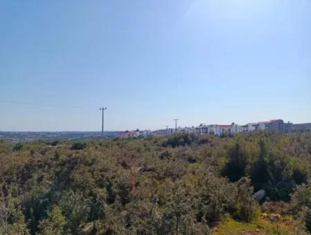 Didim Akyeniköy Bozseki İzonlı Lands For Sale