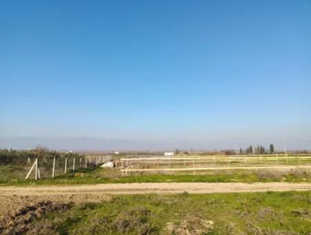 Land For Sale In Didim, Didim Akyeniköy 500M2 Land For Sale