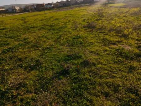 Land For Sale In Didim, Didim Akyeniköy 500M2 Land For Sale