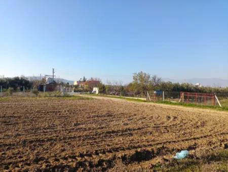 Land For Sale In Didim, Didim Akyeniköy 500M2 Land For Sale