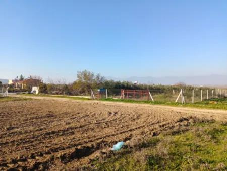 Land For Sale In Didim, Didim Akyeniköy 500M2 Land For Sale