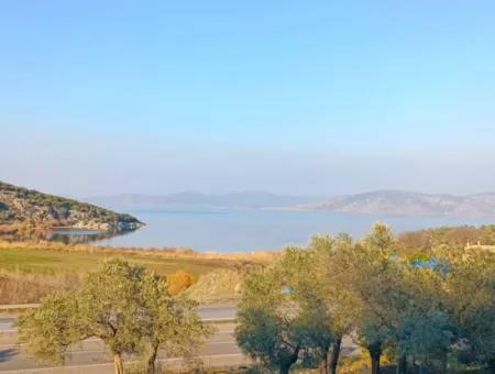 Didim Akyeniköy 55.000M2 Lake View Olive Grove For Sale