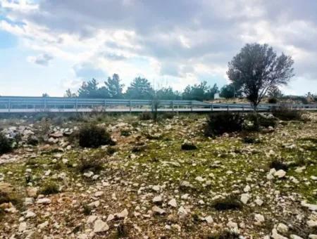 Land Plot For Sale In Didim/Land For Sale In Seyrantepe/Land For Sale In Didim Seyrantepe