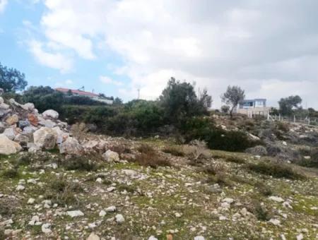 Land Plot For Sale In Didim/Land For Sale In Seyrantepe/Land For Sale In Didim Seyrantepe