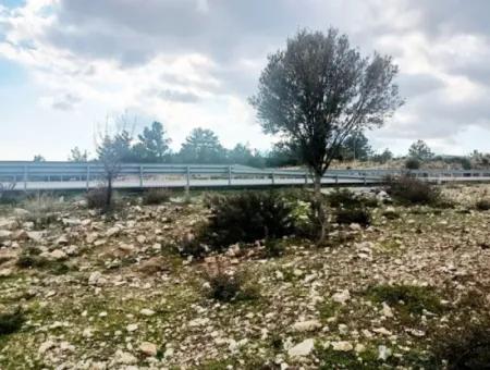 Land Plot For Sale In Didim/Land For Sale In Seyrantepe/Land For Sale In Didim Seyrantepe