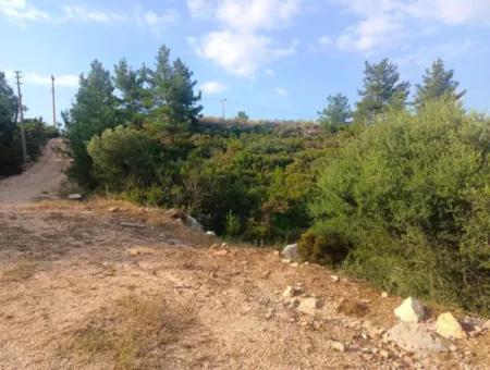 Didim Akyeniköy Seyrantepe İmarlı Land For Sale