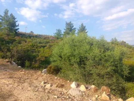 Didim Akyeniköy Seyrantepe İmarlı Land For Sale