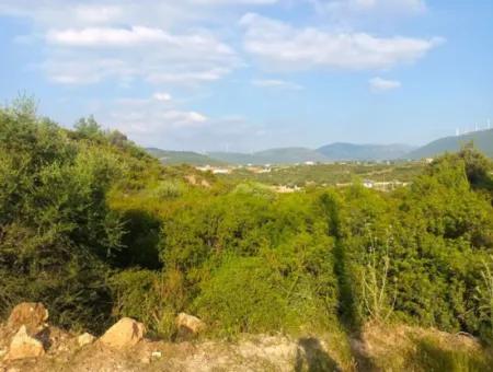 Didim Akyeniköy Seyrantepe İmarlı Land For Sale