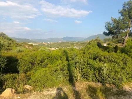 Didim Akyeniköy Seyrantepe İmarlı Land For Sale