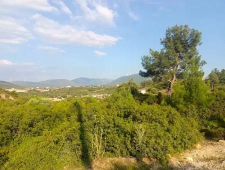 Didim Akyeniköy Seyrantepe İmarlı Land For Sale