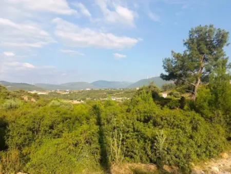 Didim Akyeniköy Seyrantepe İmarlı Land For Sale