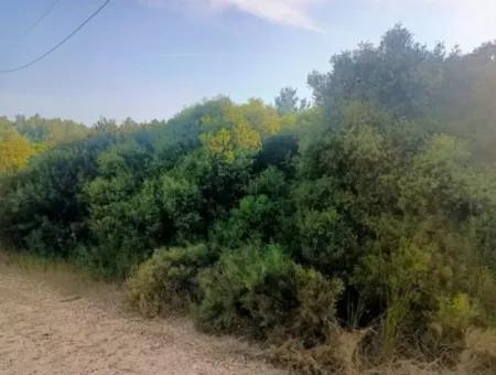 Didim Akyeniköy Seyrantepe İmarlı Land For Sale