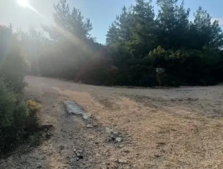 Didim Akyeniköy Seyrantepe İmarlı Land For Sale