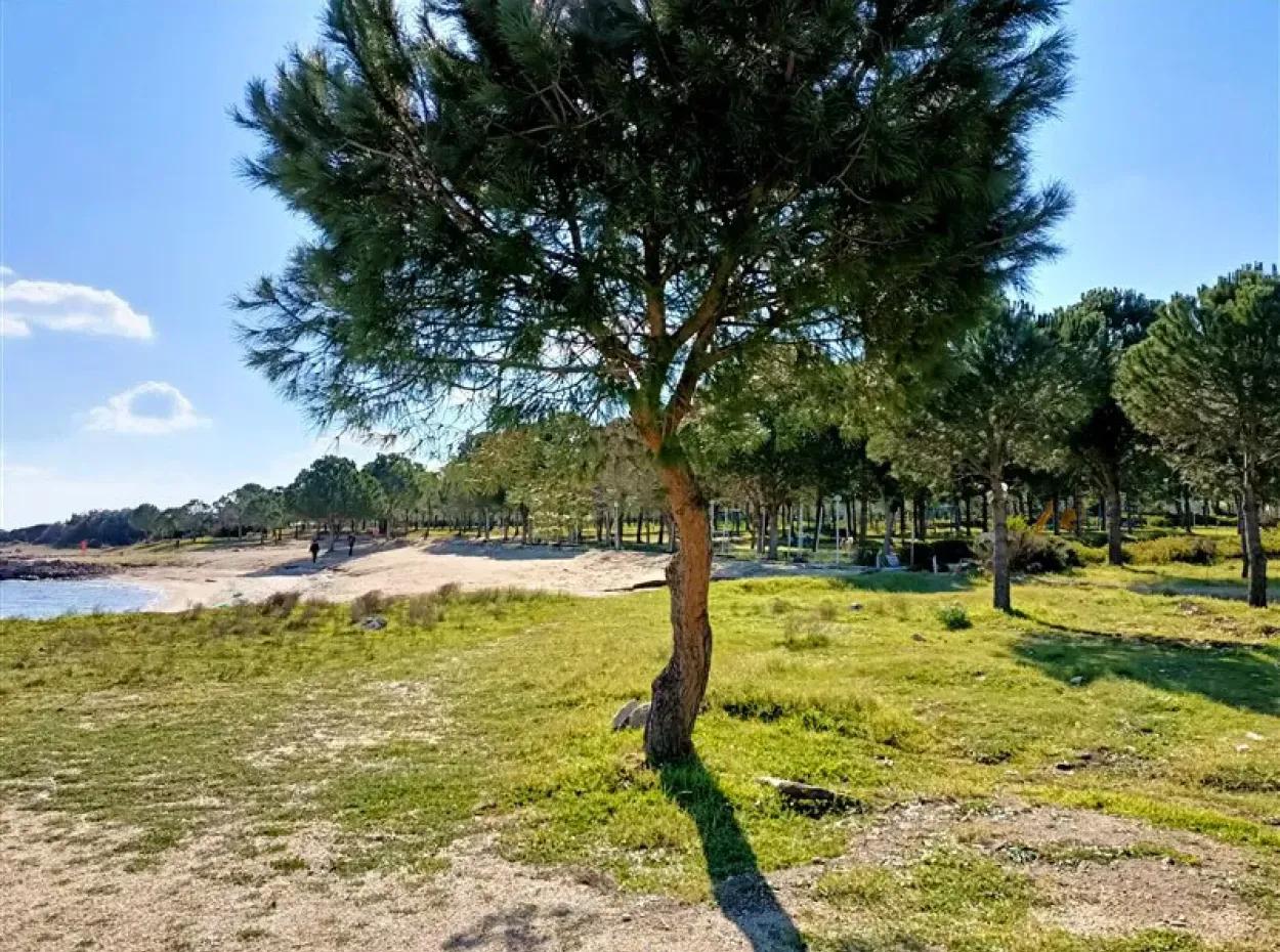 Didimde Denize 150M Sıfır Satılık Yazlık Evler