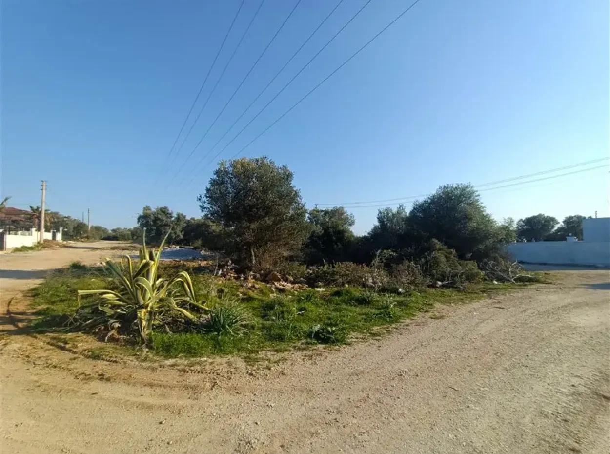 Didim Akyeniköy Yeşiltepe İmarlı Satılık Arsa
