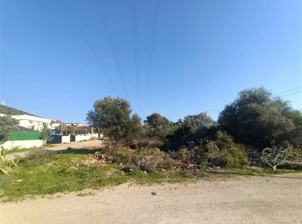 Didim Akyeniköy Yeşiltepe İmarlı Satılık Arsa