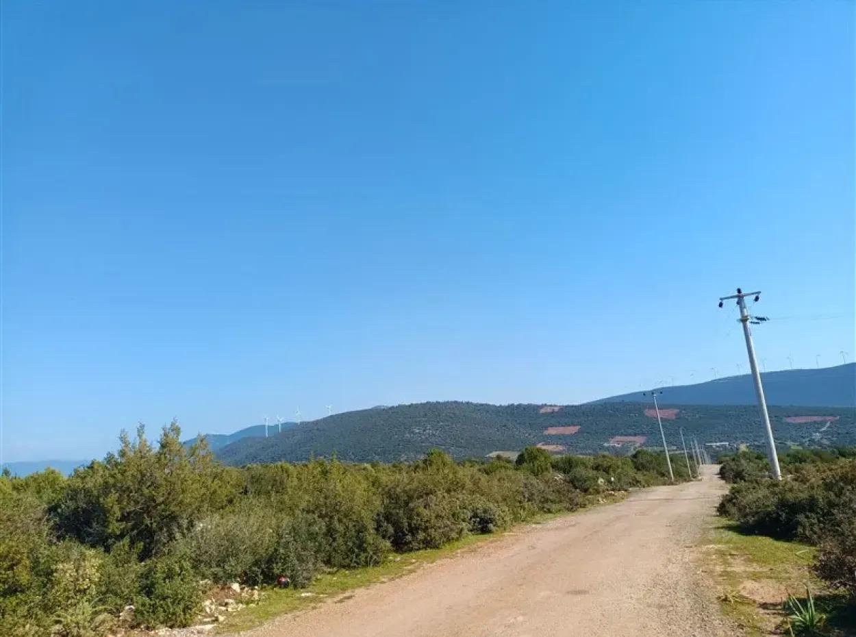 Didim Akyeniköy Bozseki İmarlı Satılık Arsalar