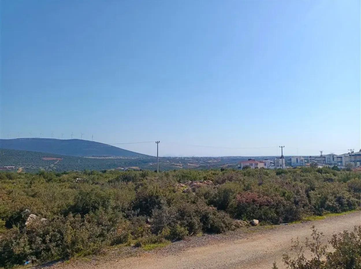 Didim Akyeniköy Bozseki İmarlı Satılık Arsalar