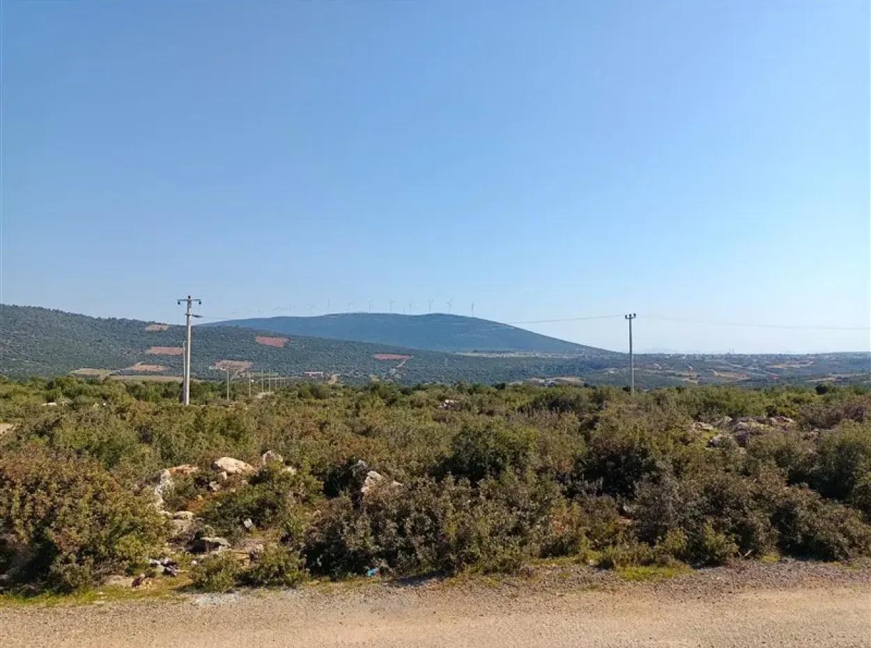 Didim Akyeniköy Bozseki İmarlı Satılık Arsalar