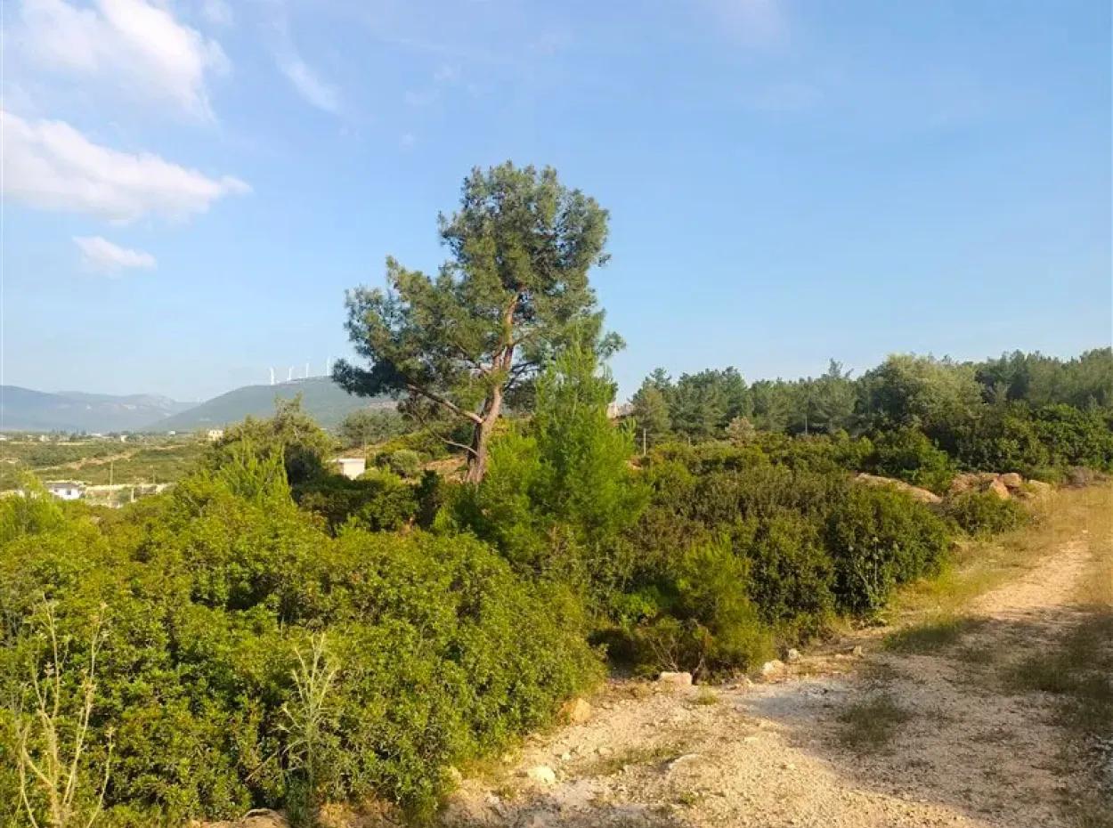 Didim Akyeniköy Seyrantepe İmarlı Satılık Arsa